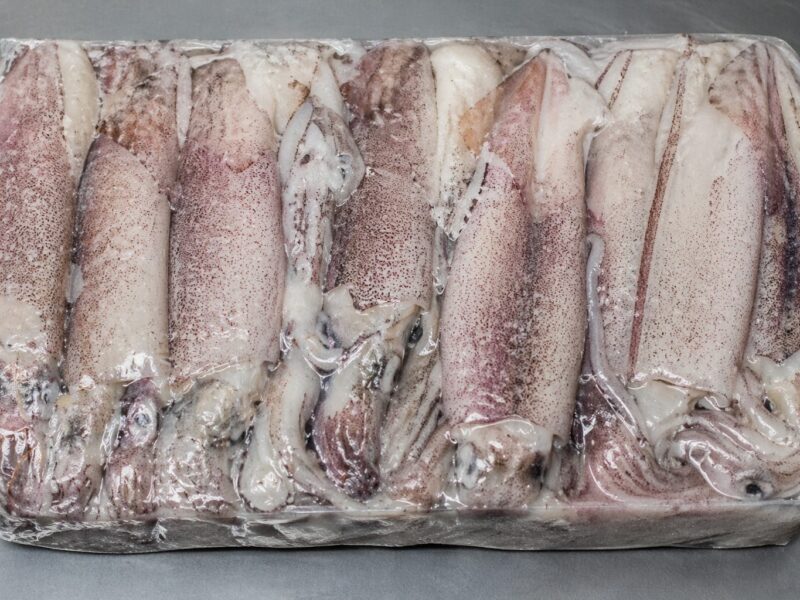 Calamares enteros congelados, presentación en bloque