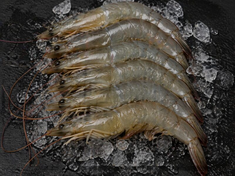 Langostino vannamei entero, presentación en bloque