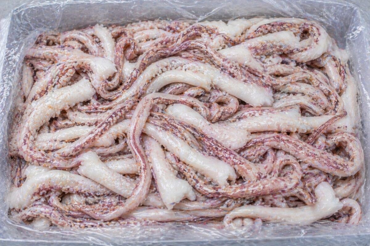 Tentáculos de potón congelados en bloque