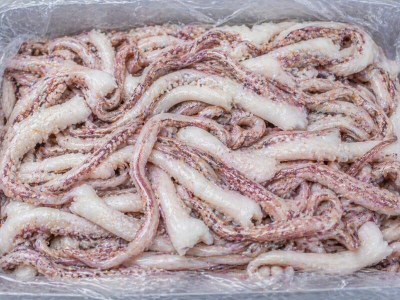 Tentáculos de calamar congelados en bloque